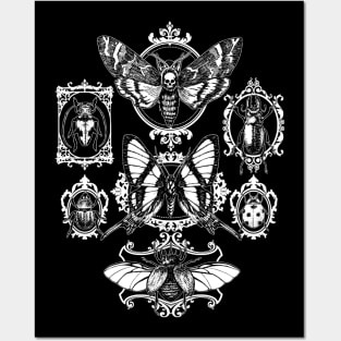 Gothic Framed Insects Posters and Art